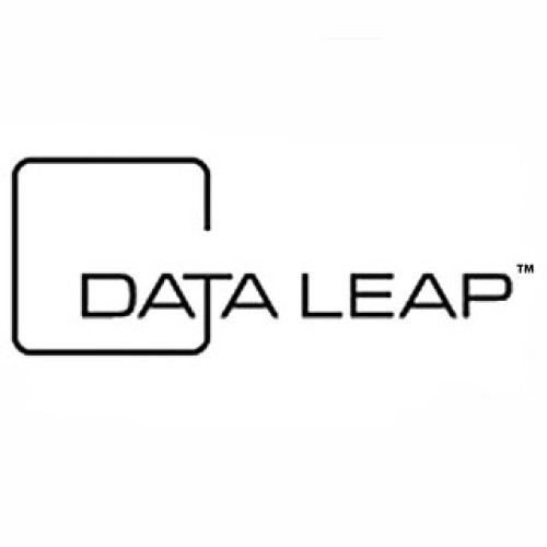 DATA LEAP. Управления производством завтрашнего дня (ЭСАБ)